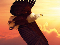 Die Transformationswoche