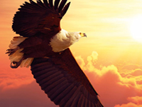 Die Transformationswoche